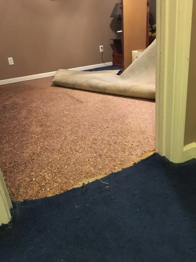 Carpet pad removal revealing water damage during Drying & Dehumidification in Charter Oak