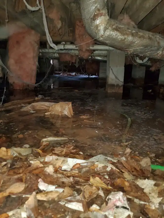 Crawl space flood assessment for Leak Detection & Repair in Charter Oak